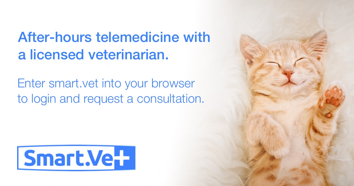 Smart.Vet Virtual Vet Support, Millbrook Veterinary Services